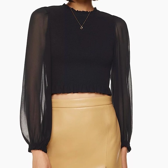 Aritzia Tops - ARITZIA - Wilfred Black Smocked Chiffon Tempest Blouse